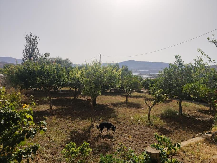 Encantadora Casa Rural Con Gran Porche San Roque  Luaran gambar
